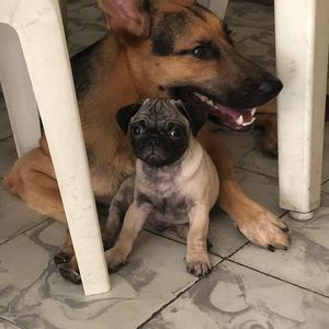 Meet your Posher, Fernando